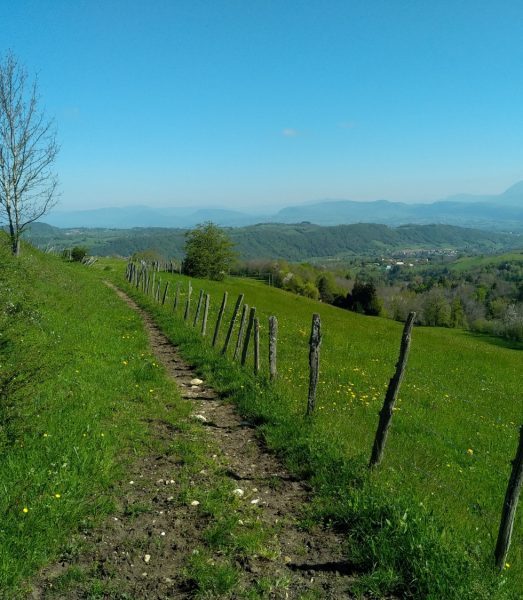 Comment préserver ses chemins ruraux et voies communales ?